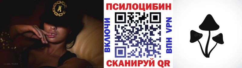 даркнет Telegram  Костерёво  Псилоцибиновые грибы Psilocybe 